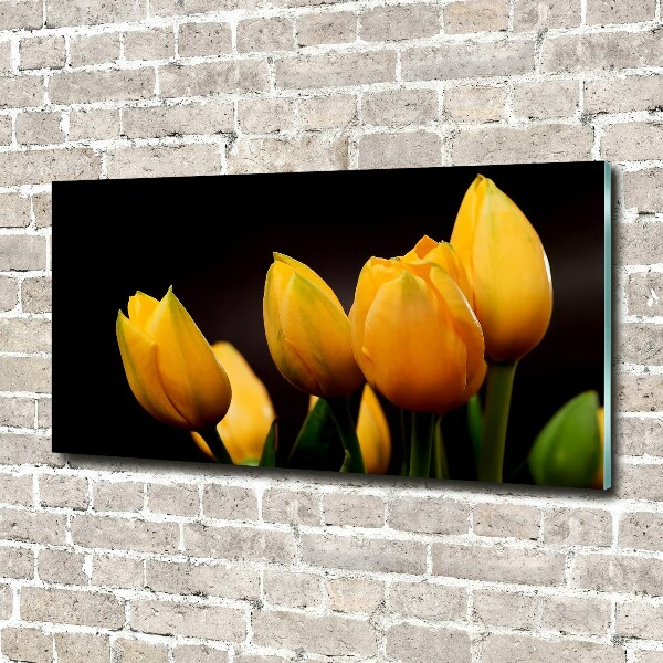 Foto auf Acryl Gelbe Tulpen