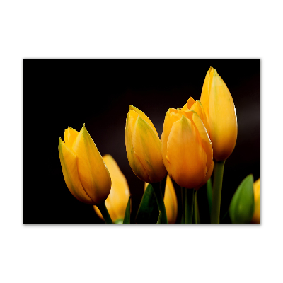 Foto auf Acryl Gelbe Tulpen