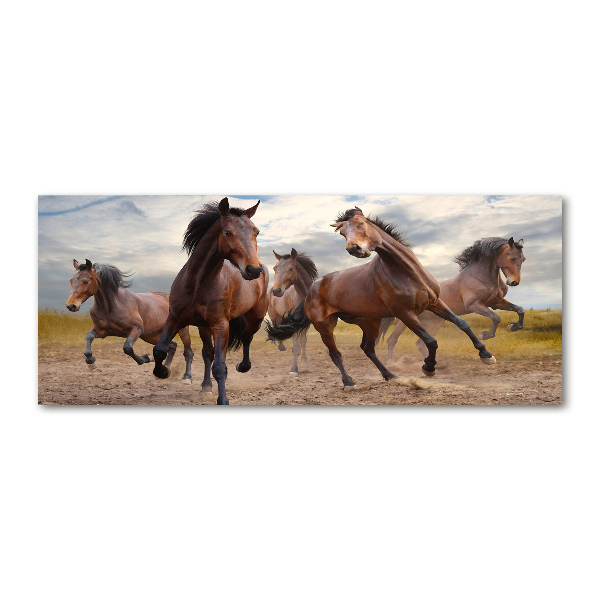 Bild auf Acrylglas Fünf Pferde