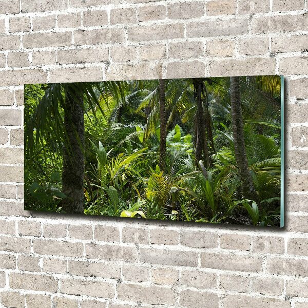 Acrylbild Fotodruck Tropischer Wald