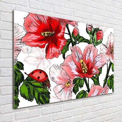 Acrylbild Fotodruck Hibiskus