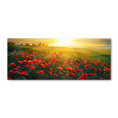 Bild auf Acrylglas Mohnfeld