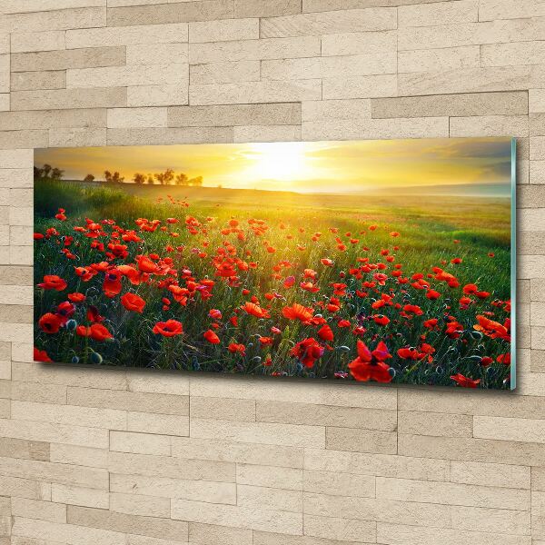 Bild auf Acrylglas Mohnfeld