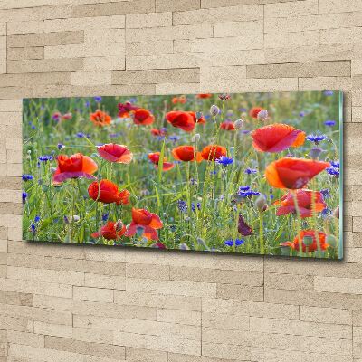 Foto auf Acryl Wildblumen