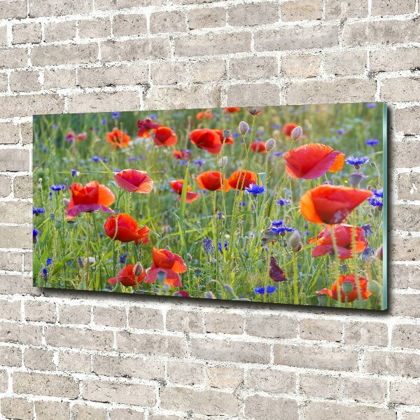 Foto auf Acryl Wildblumen