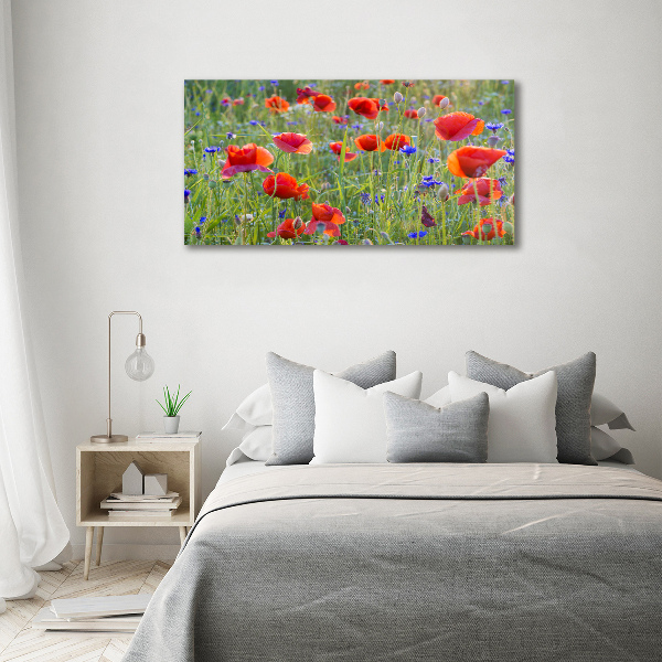 Foto auf Acryl Wildblumen