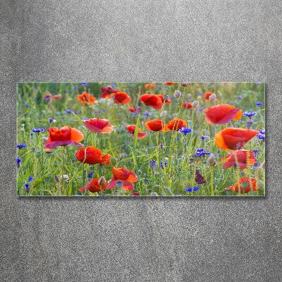 Foto auf Acryl Wildblumen