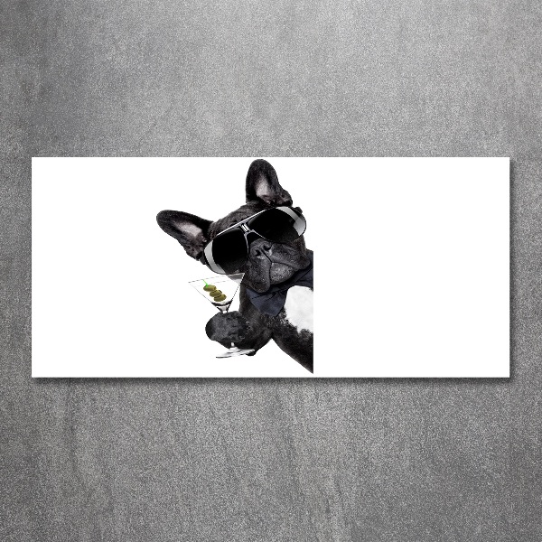 Acrylglas-Druck Martini Dog