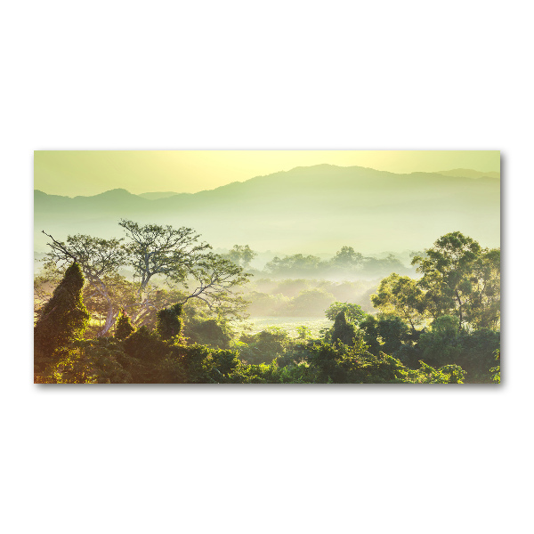 Acrylglas-Druck Dschungel