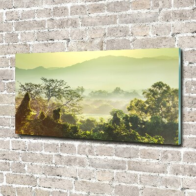 Acrylglas-Druck Dschungel