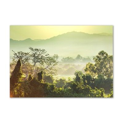 Acrylglas-Druck Dschungel
