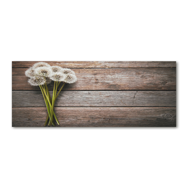 Acrylbild Fotodruck Löwenzahnholz