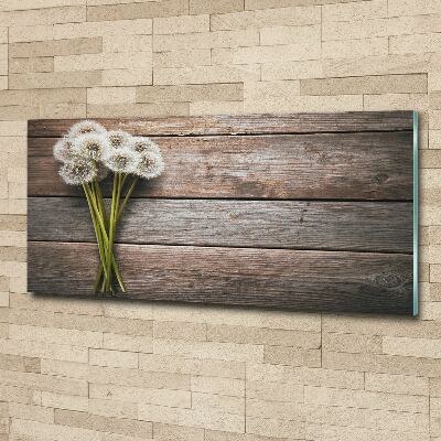 Acrylbild Fotodruck Löwenzahnholz