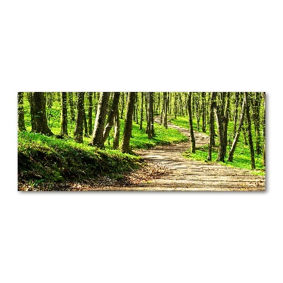 Foto auf Acryl Pfad im Wald