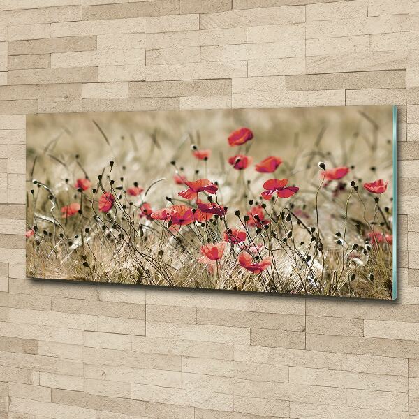 Acrylglas-Druck Mohnblumen