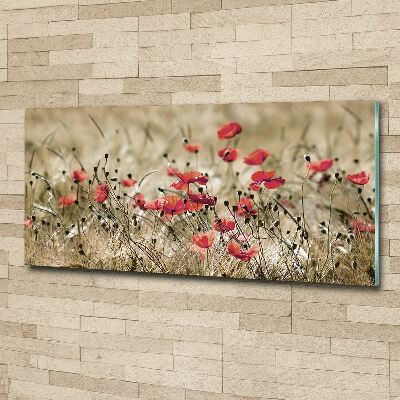 Acrylglas-Druck Mohnblumen