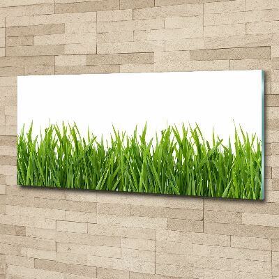 Foto auf Acryl Gras