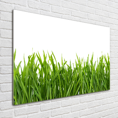 Foto auf Acryl Gras