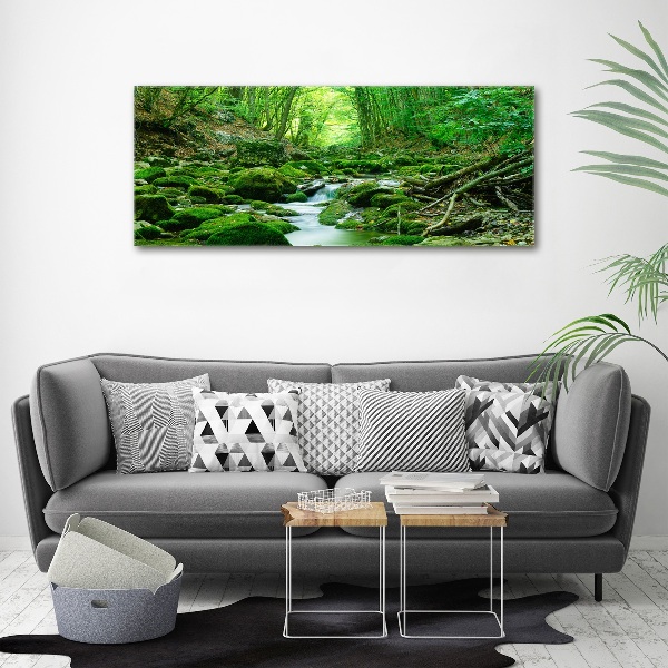 Acrylbild Fotodruck Ein Bach im Wald