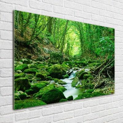 Acrylbild Fotodruck Ein Bach im Wald