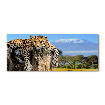 Acrylbild Fotodruck Leopard auf einem Baumstumpf
