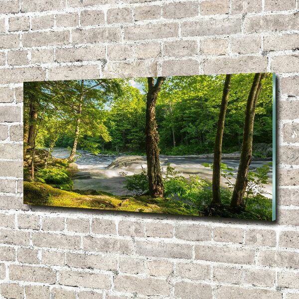 Foto auf Acryl Fluss im Wald
