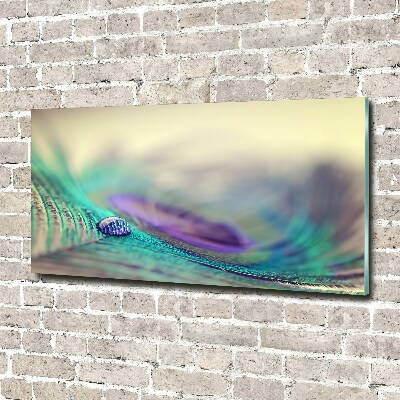 Acrylbild Fotodruck Ein Tropfen auf einer Feder