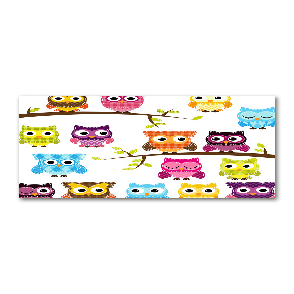 Foto auf Acryl Bunte Eulen