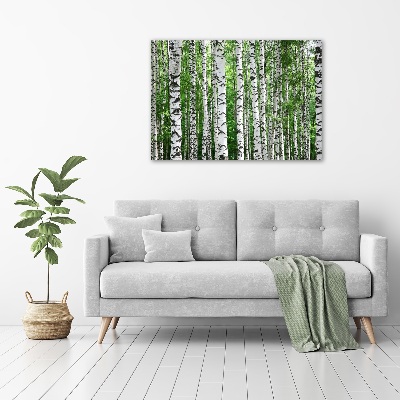 Foto auf Acryl Birken