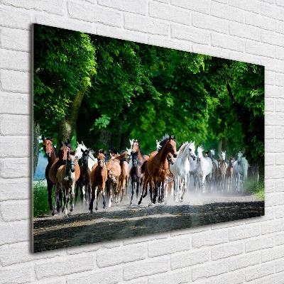 Foto auf Acryl Pferde im Galopp