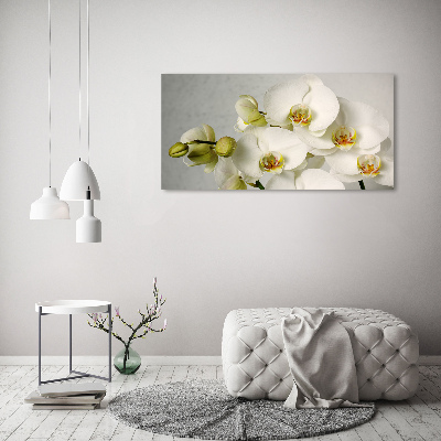 Acrylbild Fotodruck Weiße Orchidee