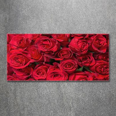 Acrylglas-Druck Rote Rosen