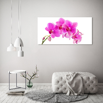 Bild auf Acrylglas Rosa Orchidee