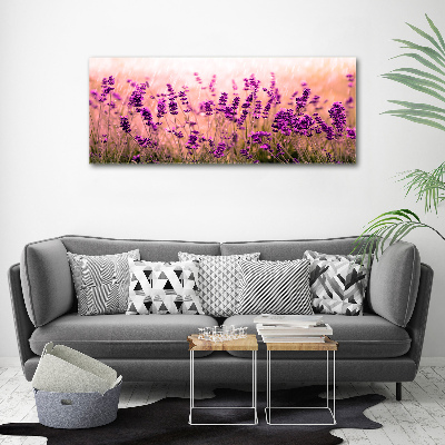 Acrylbild Fotodruck Lavendel