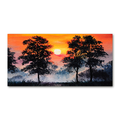 Foto auf Acryl Sonnenuntergangswald