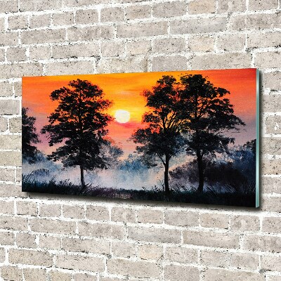 Foto auf Acryl Sonnenuntergangswald