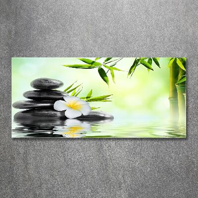 Foto auf Acryl Plumeria und Bambus