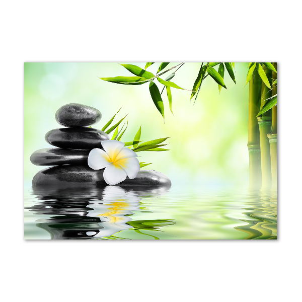 Foto auf Acryl Plumeria und Bambus