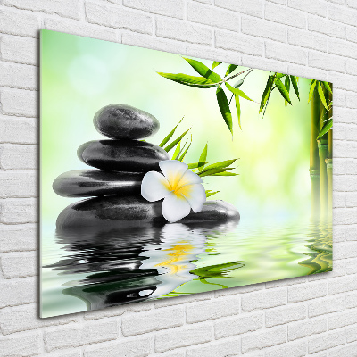 Foto auf Acryl Plumeria und Bambus