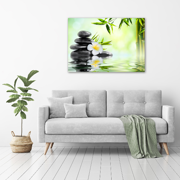 Foto auf Acryl Plumeria und Bambus