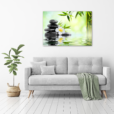 Foto auf Acryl Plumeria und Bambus