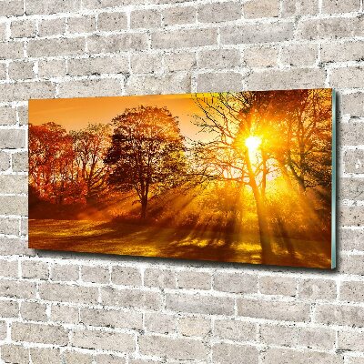 Acrylbild Fotodruck Sonnenuntergang