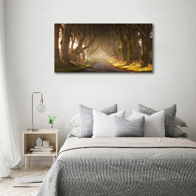 Acrylglas-Druck Nebel im Wald