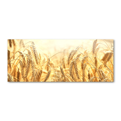 Acrylbild Fotodruck Getreide