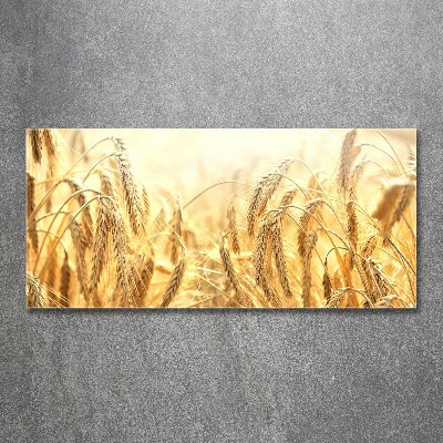 Acrylbild Fotodruck Getreide
