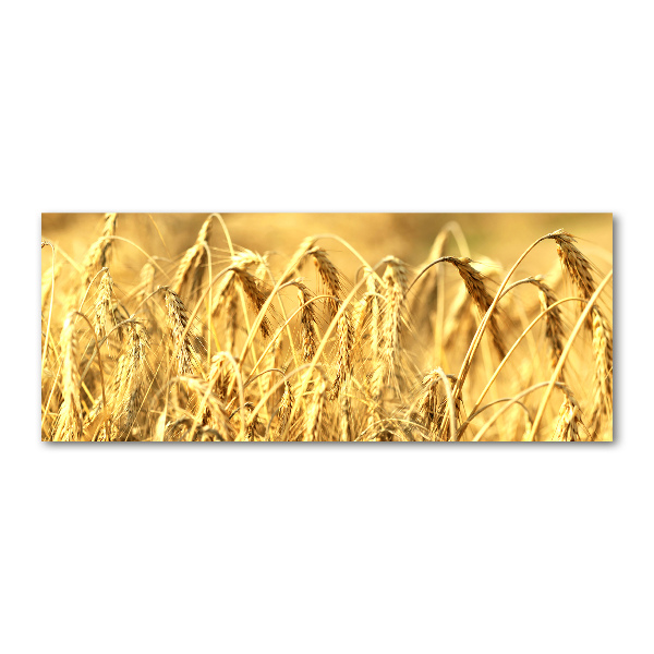 Acrylglas-Druck Getreide