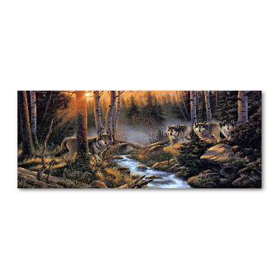 Foto auf Acryl Ein Wolfsrudel