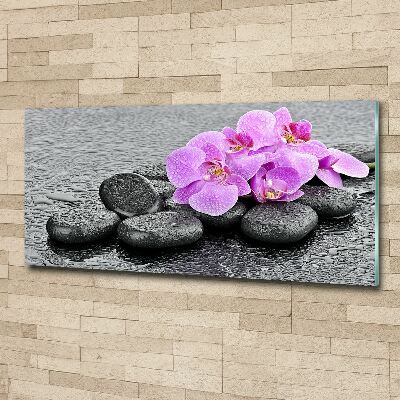 Acrylglas-Druck Orchideensteine
