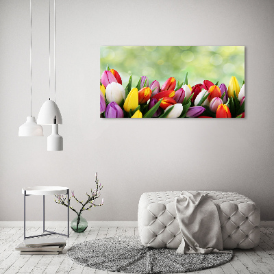 Foto auf Acryl Bunte Tulpen