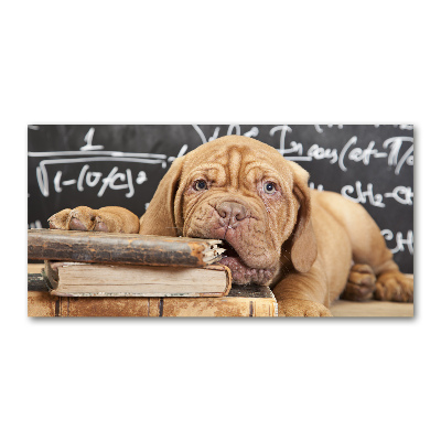 Acrylglas-Druck Der Hund beißt das Buch an